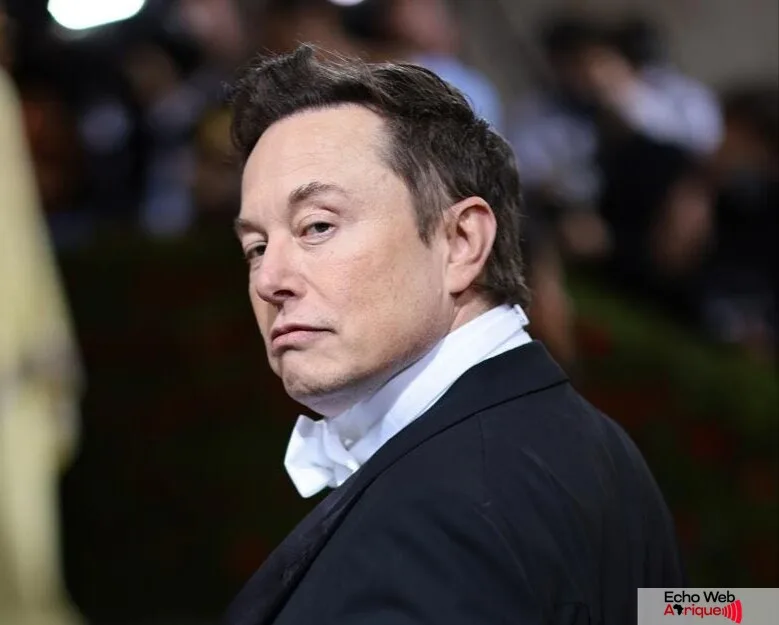 Elon Musk, retrait du gouvernement
