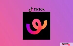 TikTok lance Whee, une nouvelle application venue concurrencer Instagram