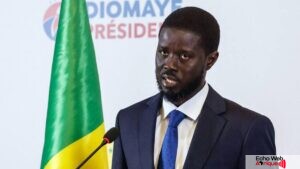 Affaire d’escroquerie au Sénégal : Le Frère du président placé en garde à vue