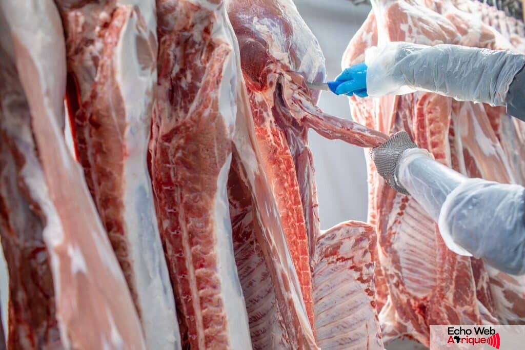 abattoir decoupe viande ©sergey kolesnikov Shutterstock 1024x683 1