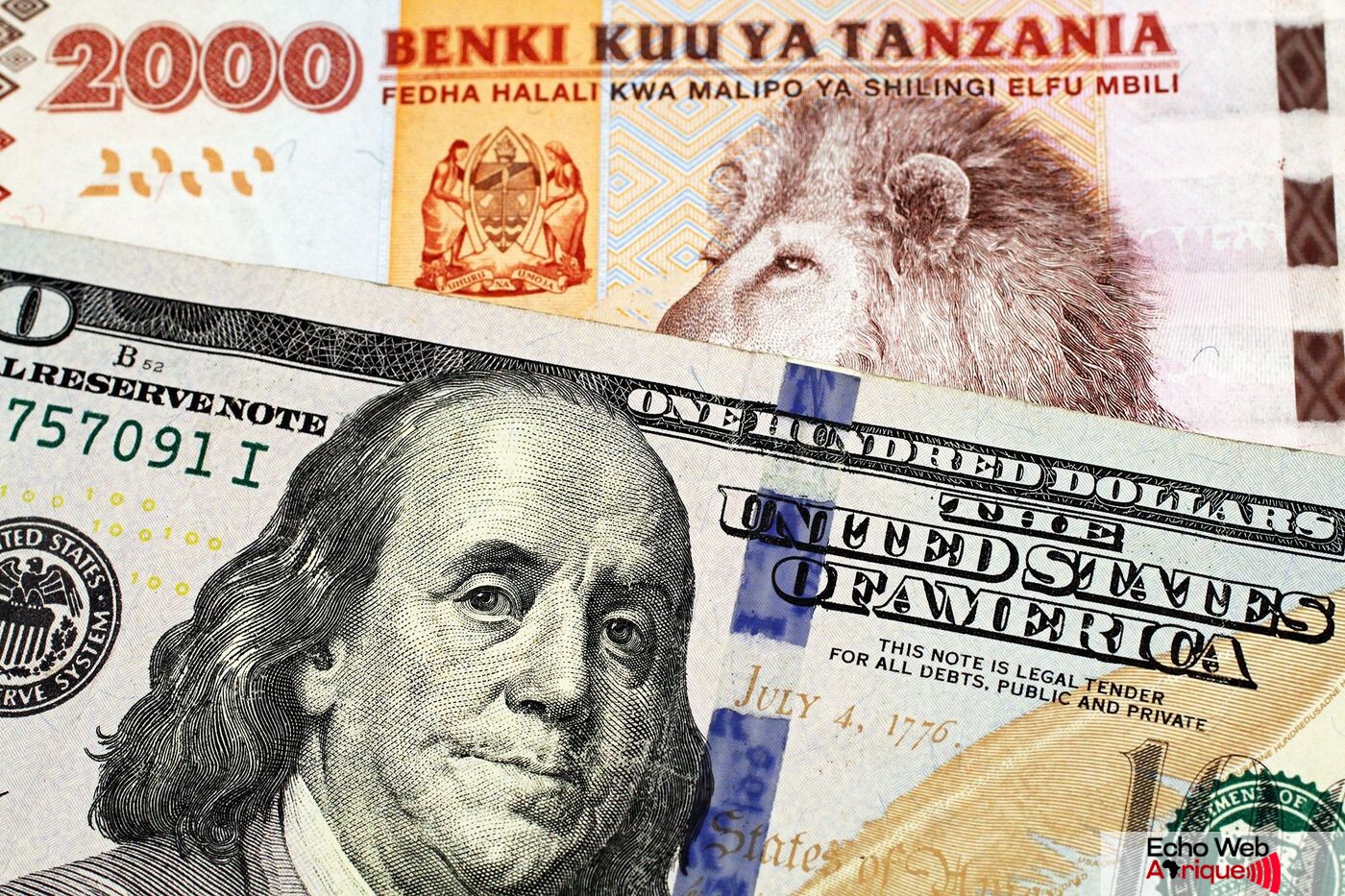 La Tanzanie prend des mesures pour réduire l'utilisation du dollar Américain