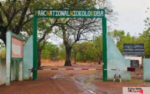 Sénégal : Le parc naturel du Niokolo-Koba retiré d’une liste de patrimoine par l’Unesco