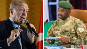 Erdogan réaffirme son soutien au Mali