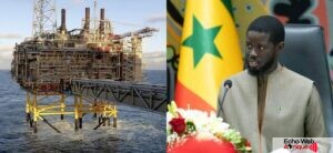 Sénégal : Création d’une commission pour réexaminer les contrats pétroliers et gaziers