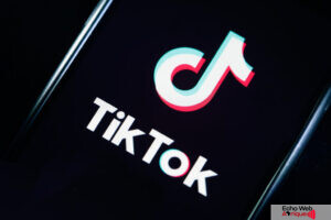 TikTok se lance dans la promotion de l’Afrique à travers ses personnalités