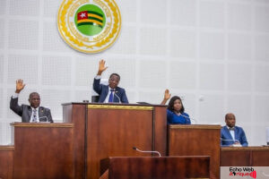 Togo : Les nouvelles commissions parlementaires et leurs présidents élus dévoilés