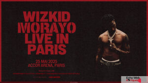 Wizkid annule son concert prévu le 25 mai à Paris, les détails