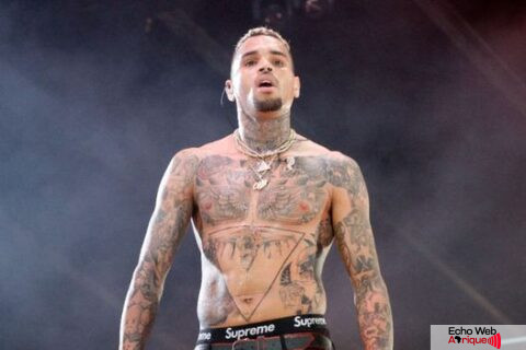 Chris Brown , détention